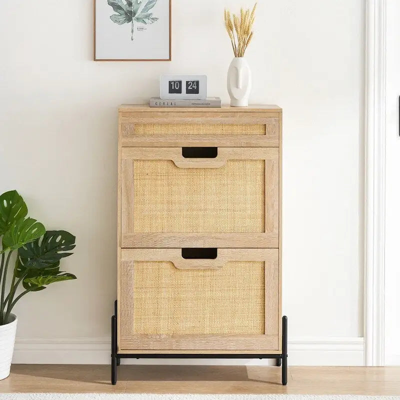 Two-door one-drawer shoe cabinet